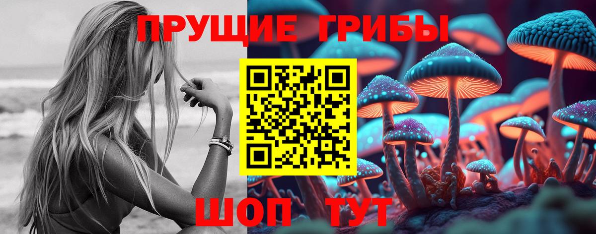 Галлюциногенные грибы Cubensis  наркошоп  Ачхой-Мартан 