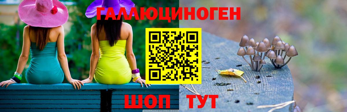 Псилоцибиновые грибы GOLDEN TEACHER Ачхой-Мартан